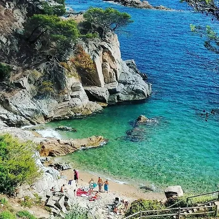 Apartamento La Calma De Tossa Gerona